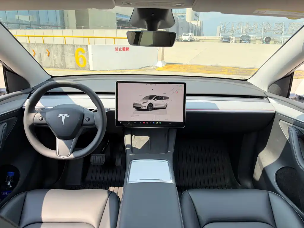 Tesla Model Y — миниатюра 12