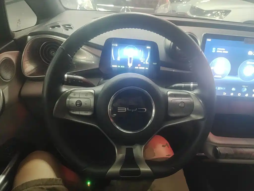 BYD Dolphin — миниатюра 11
