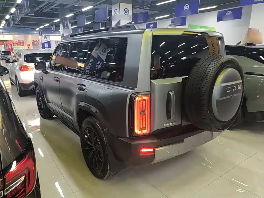 Haval Menglong New Energy — миниатюра 5
