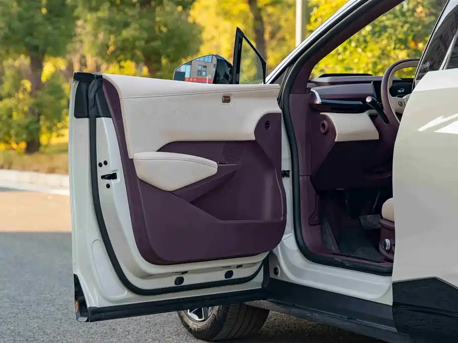 ZEEKR EXTREME KRYPTON X