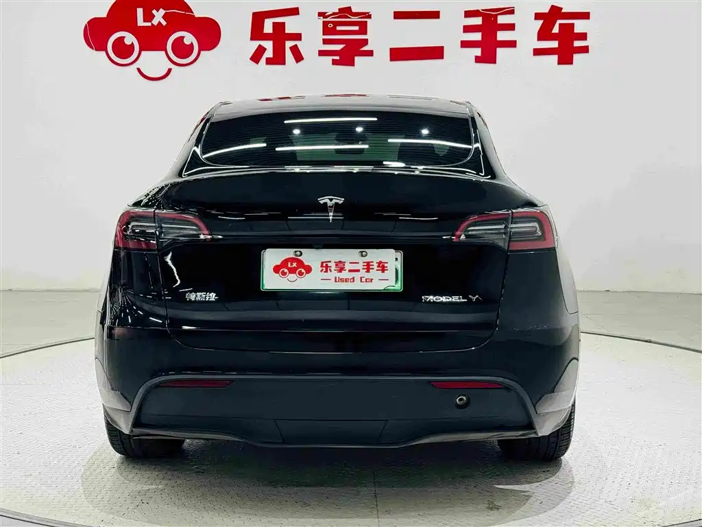 Tesla Model Y — миниатюра 4