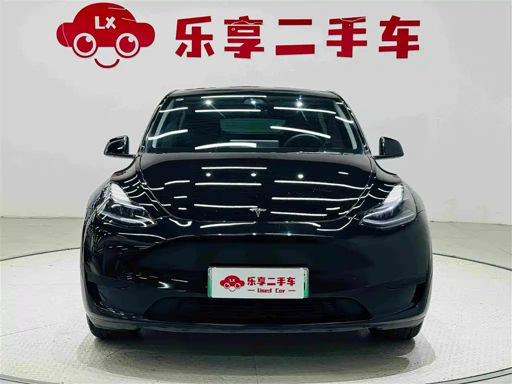 Tesla Model Y — миниатюра 8