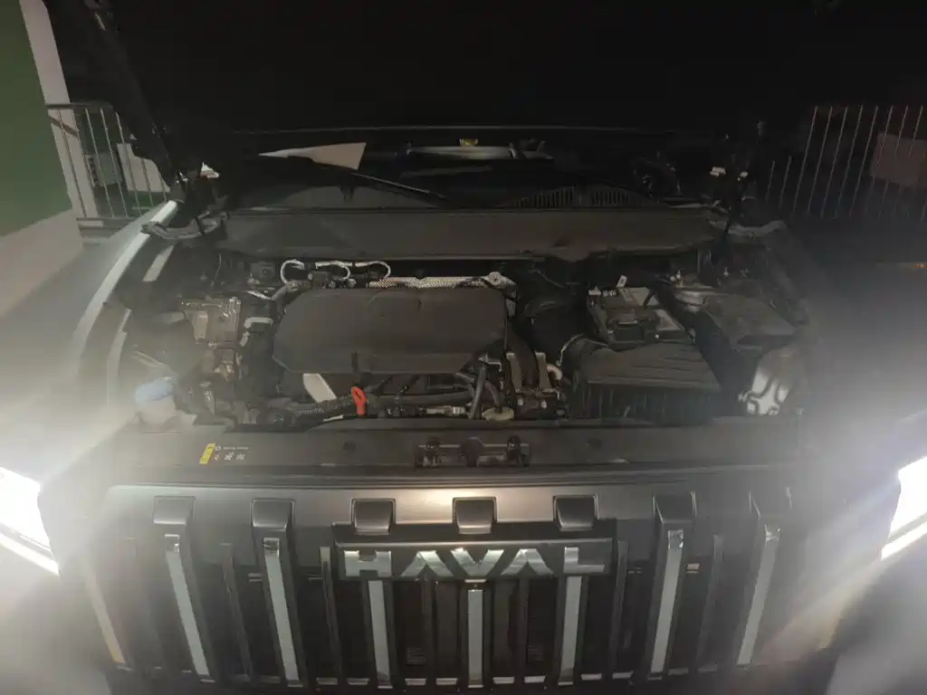 Haval Menglong Petrol — миниатюра 21