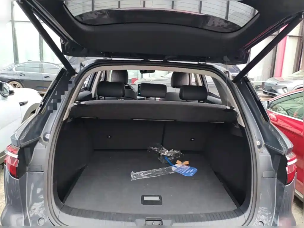 BYD Pro New Energy — миниатюра 10