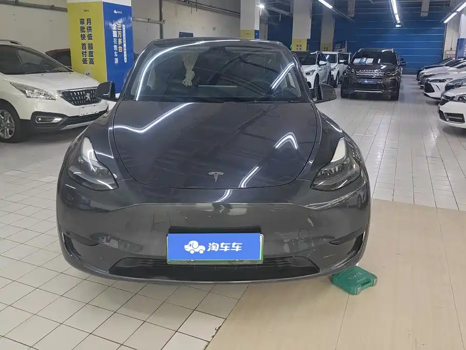 Tesla Model Y — миниатюра 2