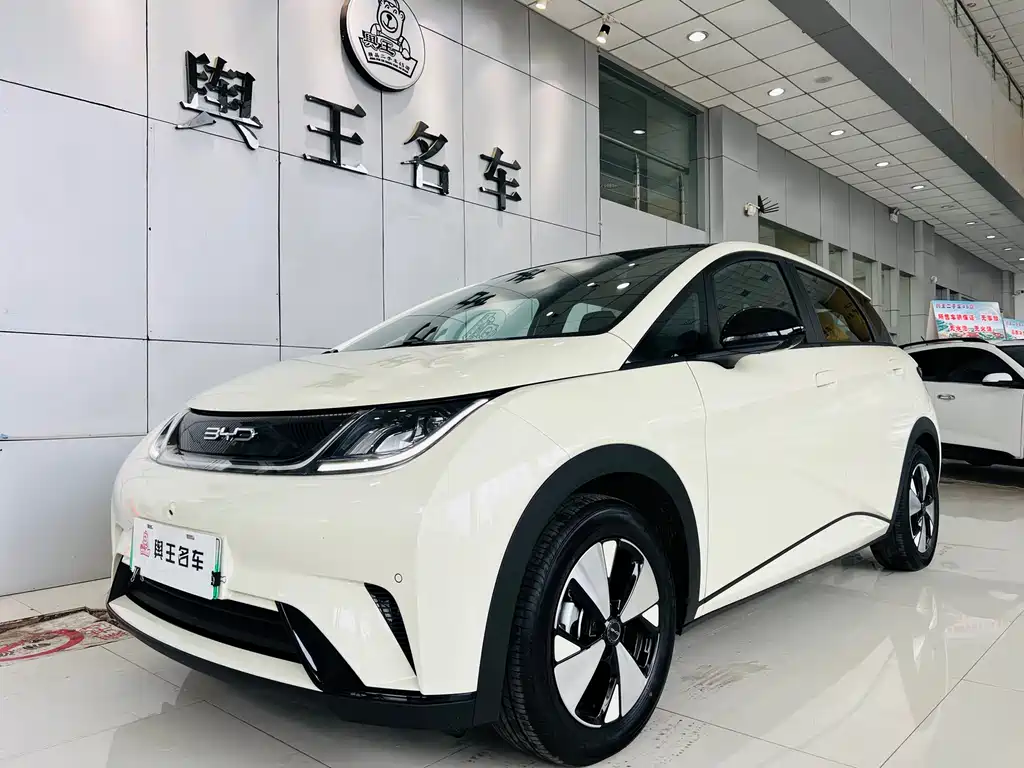 Byd Dolphin 2024