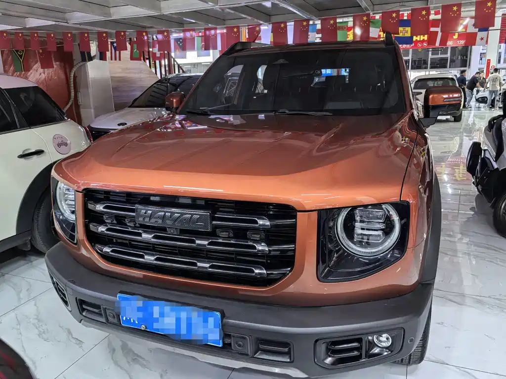 Haval Big Dog — миниатюра 2