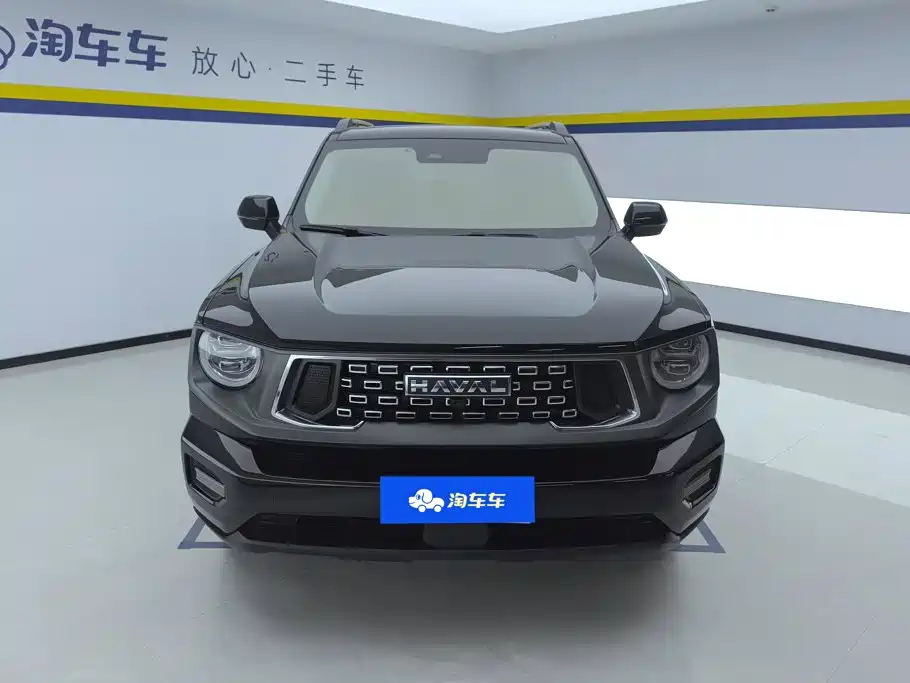 Haval Big Dog PLUS — миниатюра 2