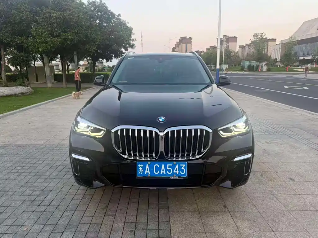 BMW X5 2023 xDrive 30Li M Sport
