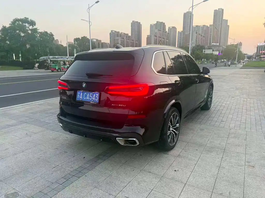 BMW X5 2023 xDrive 30Li M Sport