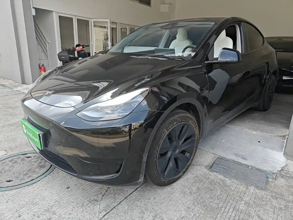 Tesla Model Y — миниатюра 2
