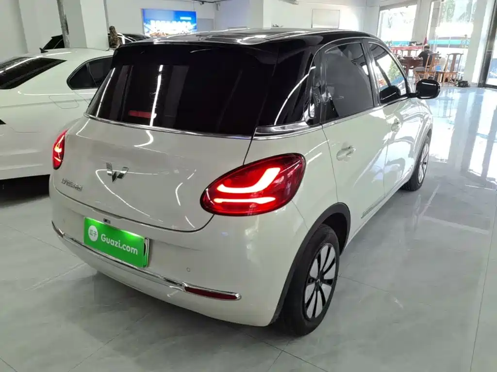 Wuling Binguo 2024 333km Enjoy