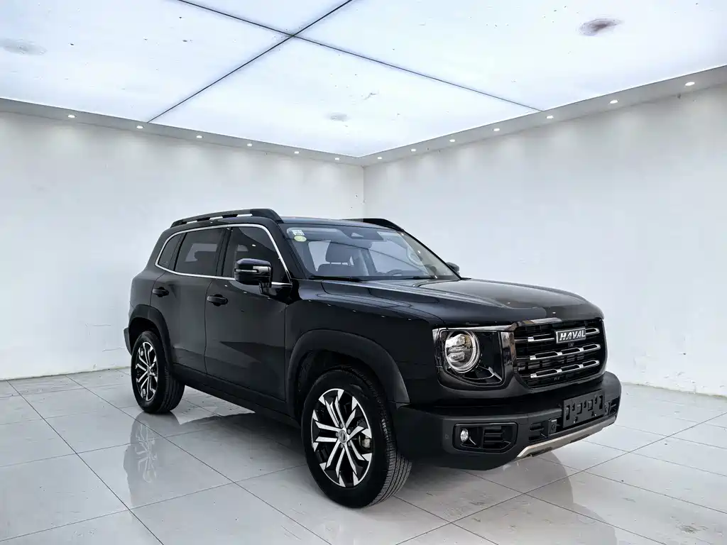 Haval Big Dog — миниатюра 3