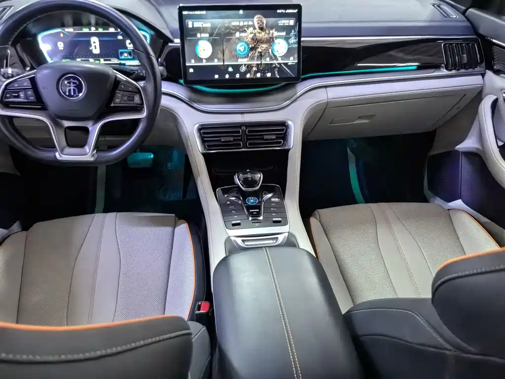 BYD PLUS New Energy — миниатюра 8