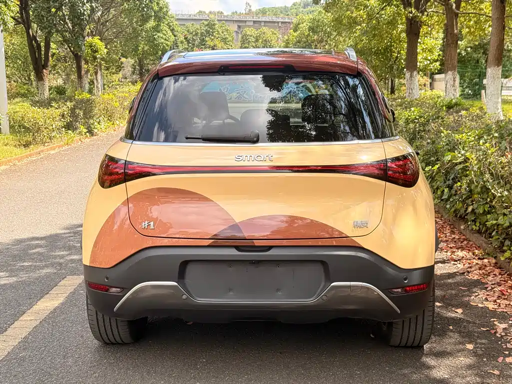 smart Smart #1 — миниатюра 4