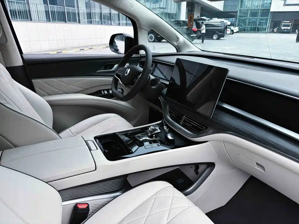 Denza Denza D9 — миниатюра 31