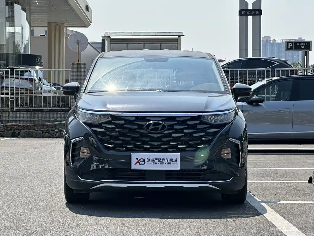 Hyundai Custo — миниатюра 2