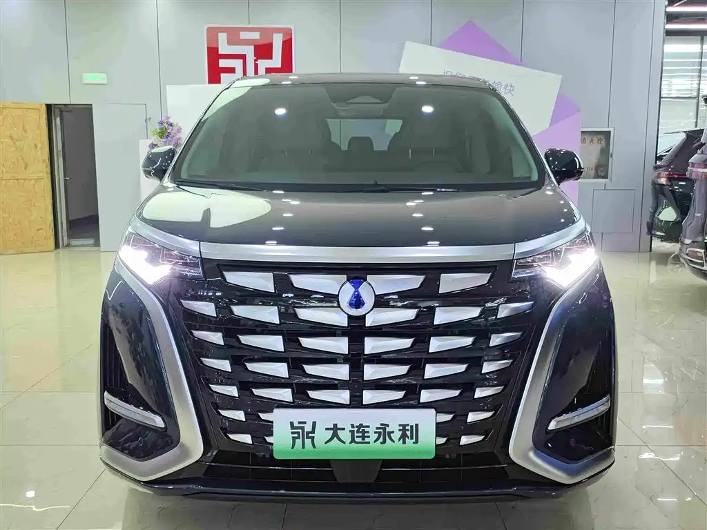 Denza Denza D9 — миниатюра 2