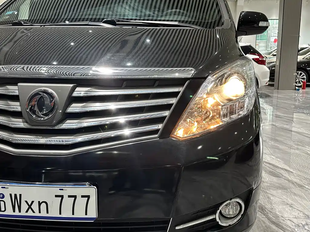 Forthing Lingzhi PLUS 2.0L Manual Luxury Type 7 seats, фото 24