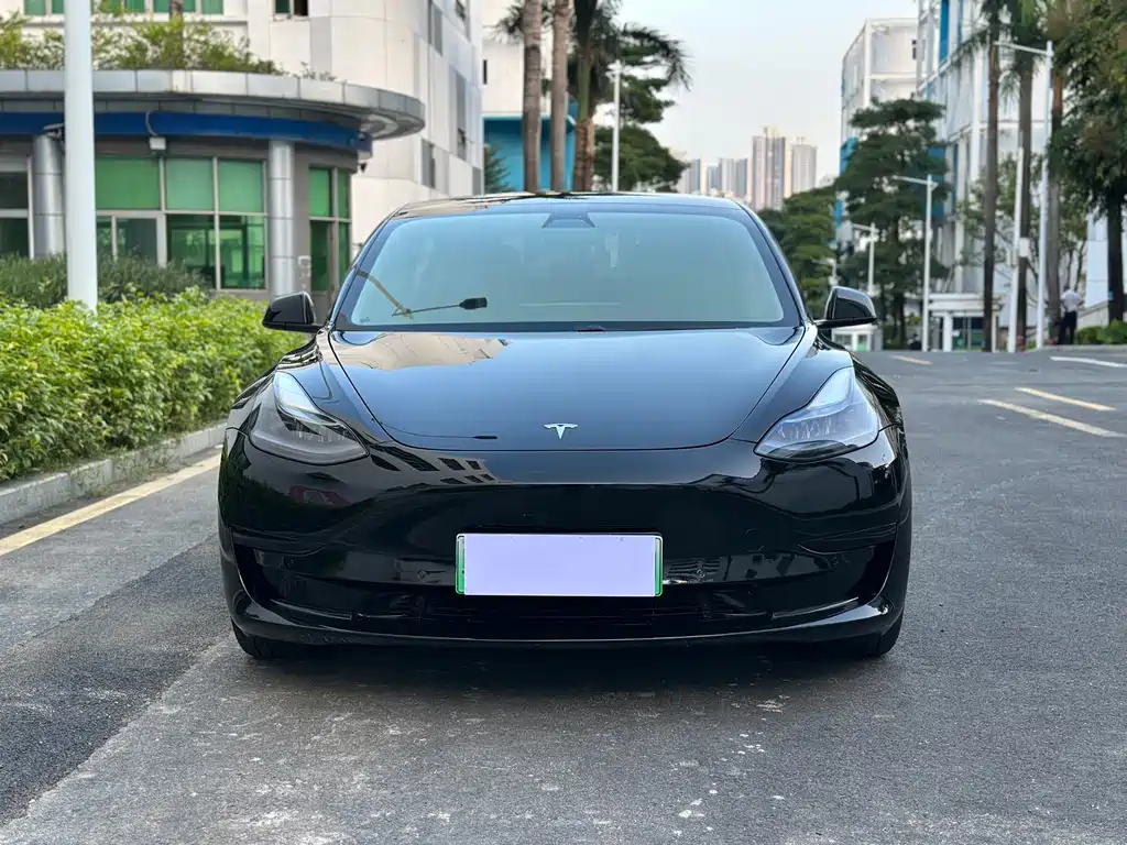 Tesla Model 3 — миниатюра 3