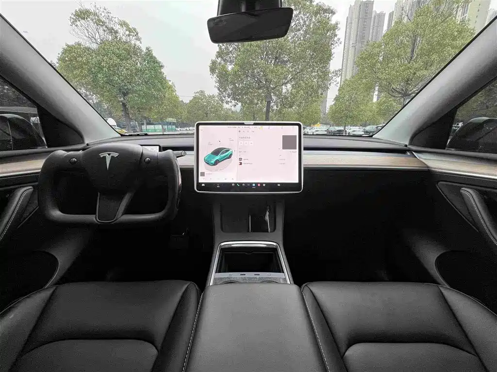 Tesla Model Y — миниатюра 13