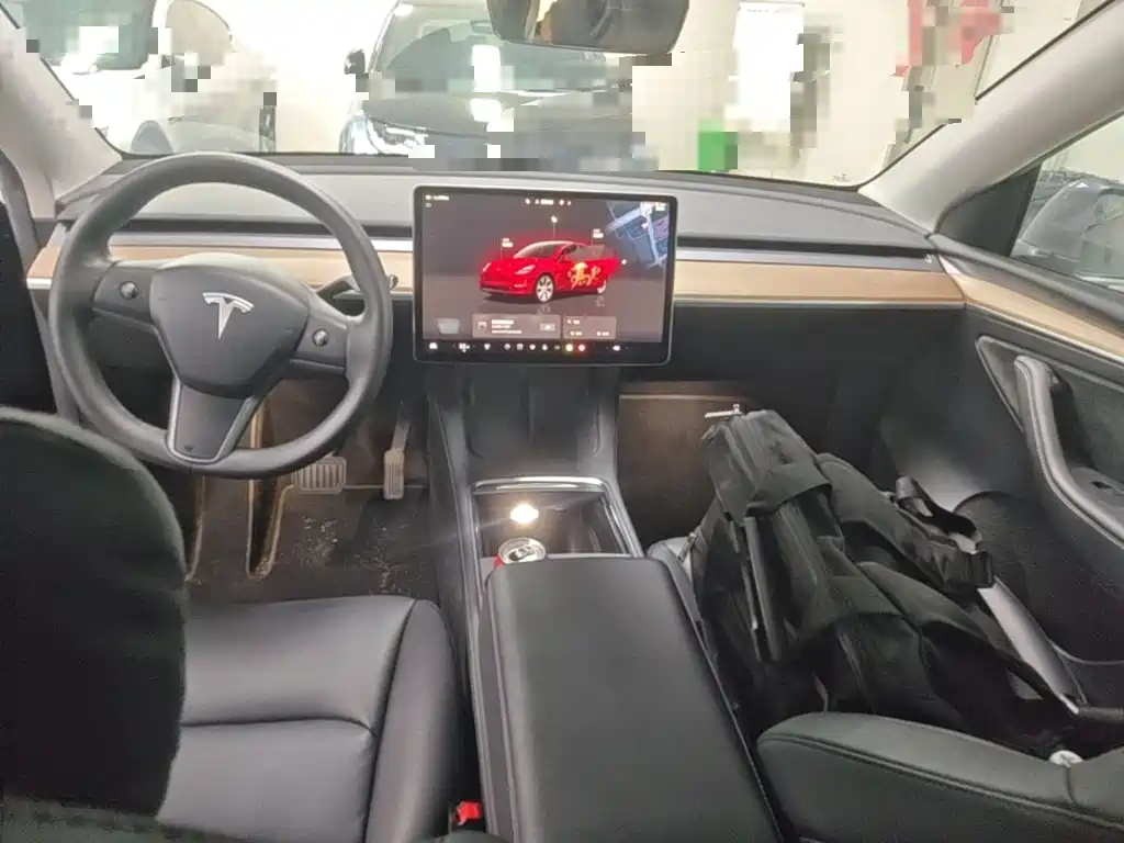 Tesla Model Y — миниатюра 10
