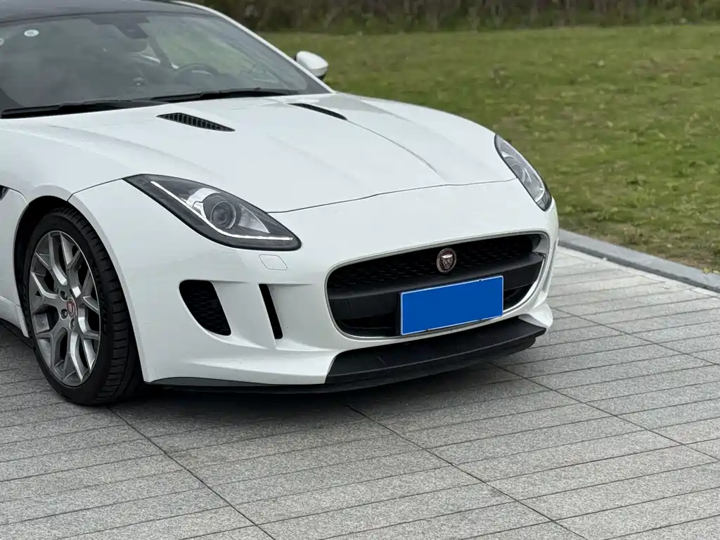 Jaguar F-TYPE — миниатюра 4