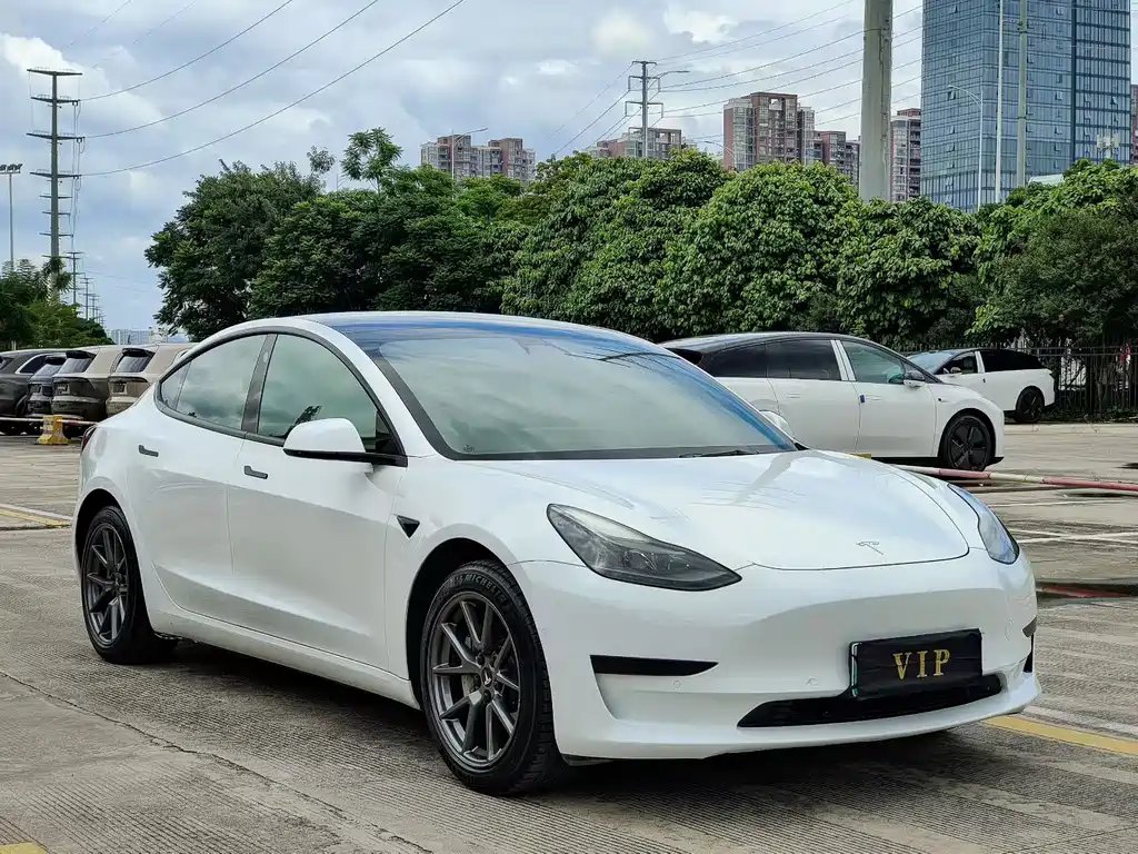 Tesla Model 3 — миниатюра 3