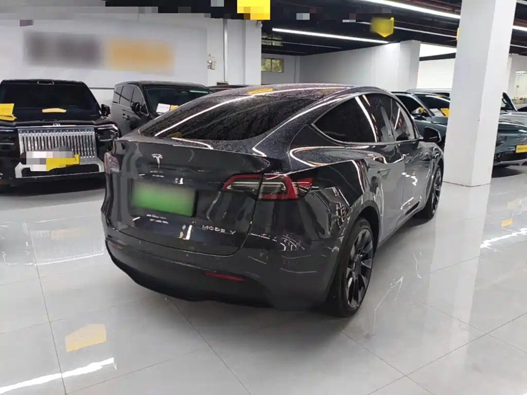 Tesla Model Y — миниатюра 7