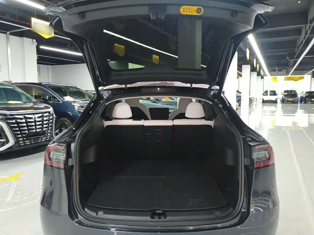Tesla Model Y — миниатюра 19