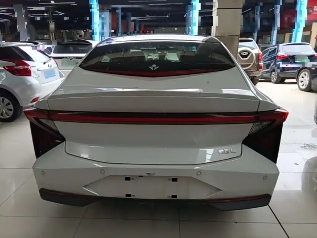 Lingxi Lingxi L — миниатюра 6