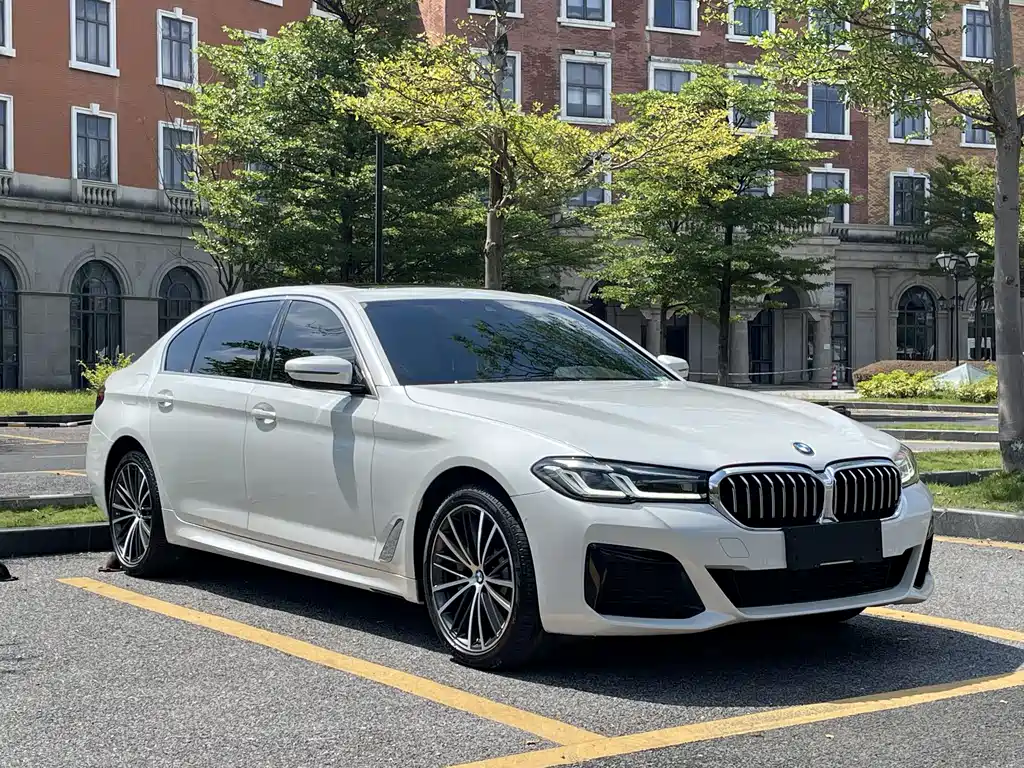BMW 5 Series — миниатюра 3