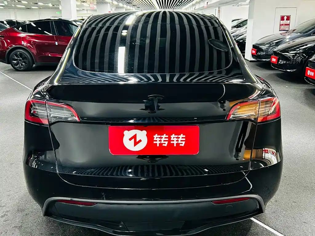 Tesla Model Y — миниатюра 5
