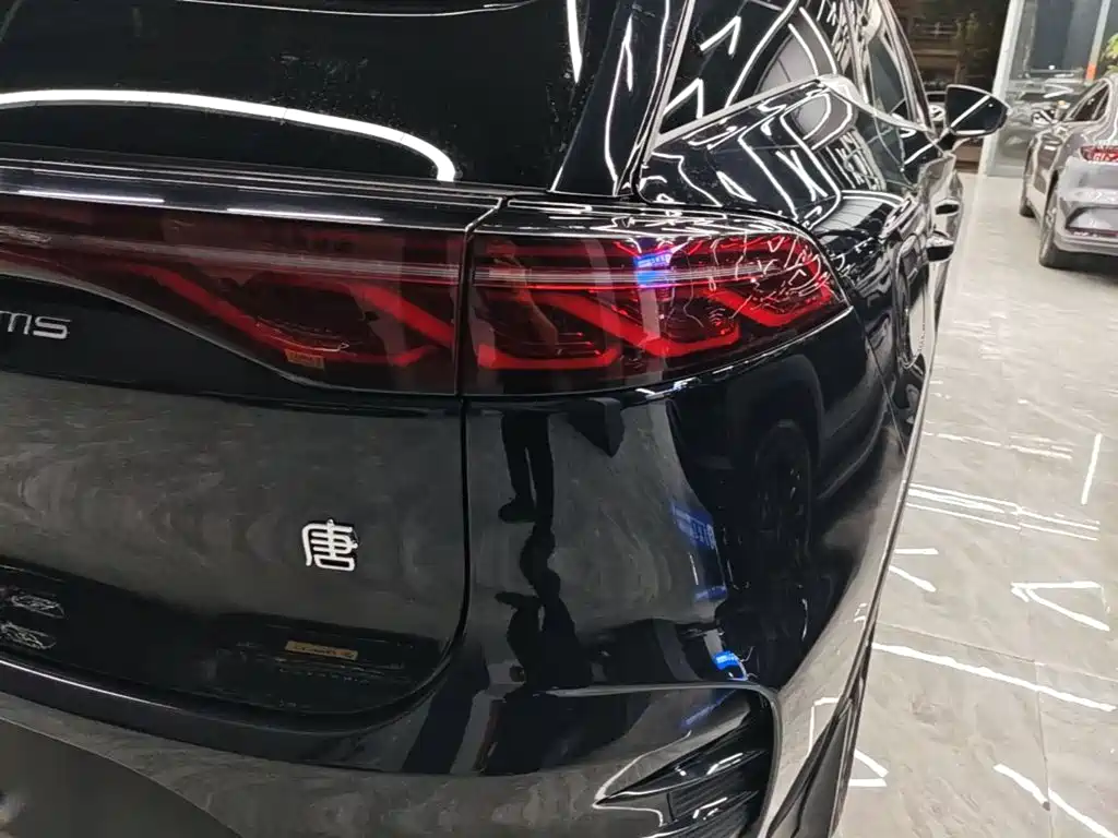BYD Tang New Energy — миниатюра 8