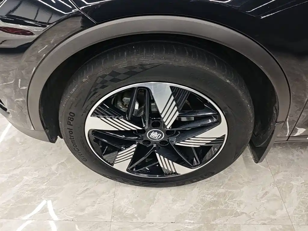 BYD Tang New Energy — миниатюра 23