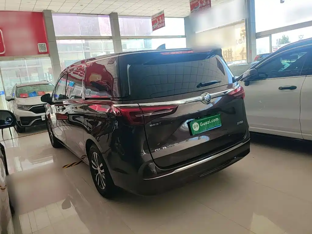 Buick GL8 — миниатюра 5