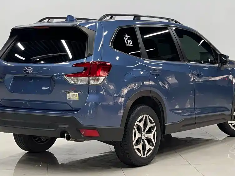 Subaru Forester — миниатюра 6