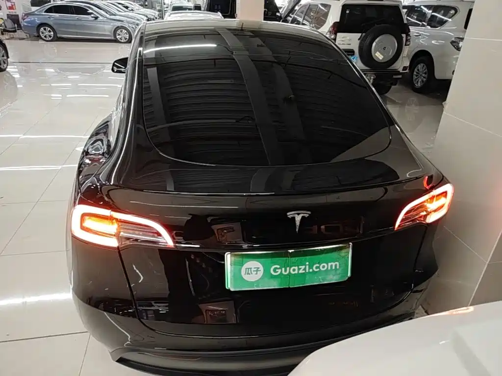Tesla Model Y — миниатюра 6