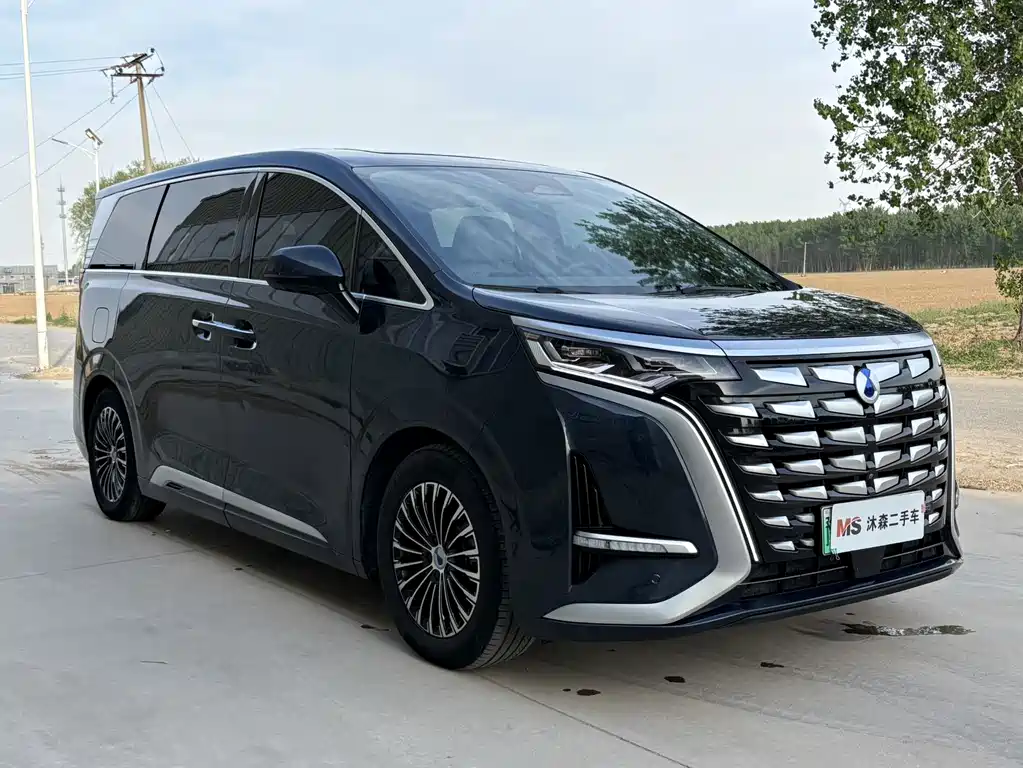 Denza Denza D9 — миниатюра 3