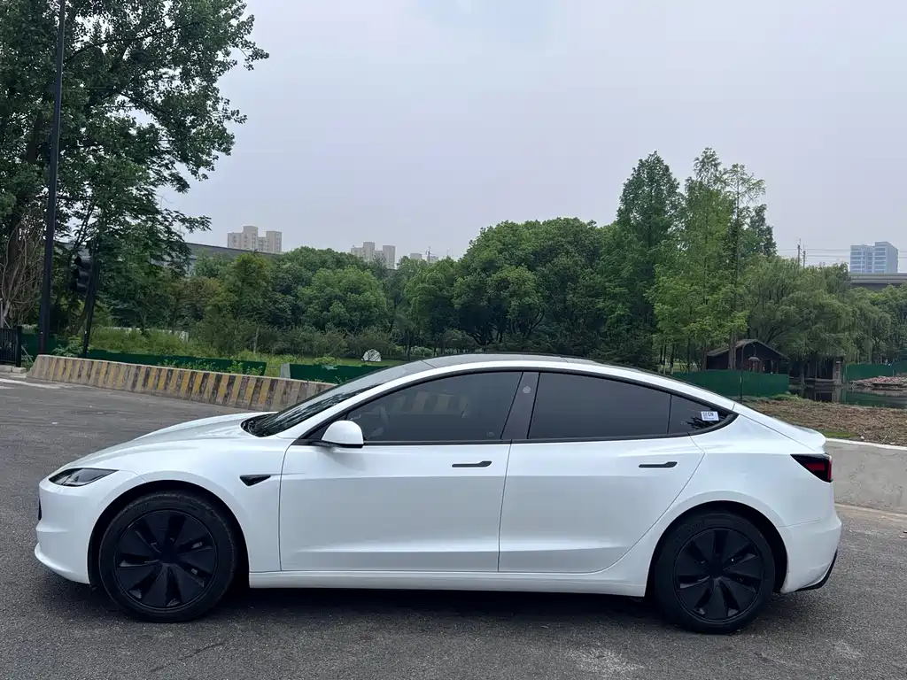Tesla Model 3 — миниатюра 4