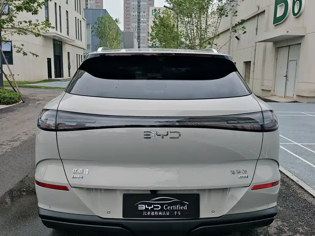BYD Sealion 06 — миниатюра 10