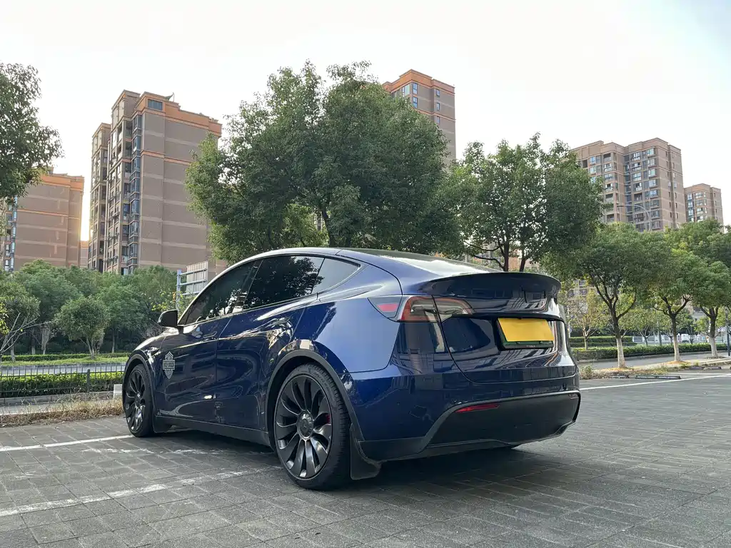 Tesla Model Y — миниатюра 16