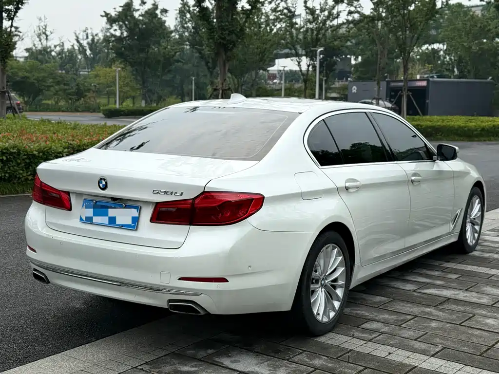 BMW 5 Series 5 2020 530Li Premium Luxury