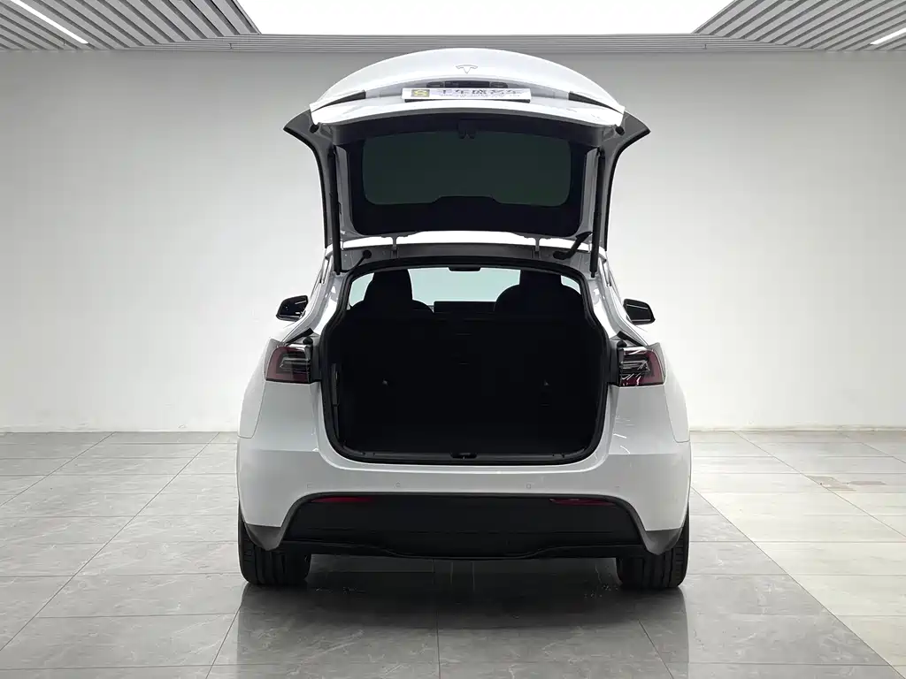 Tesla Model Y — миниатюра 10