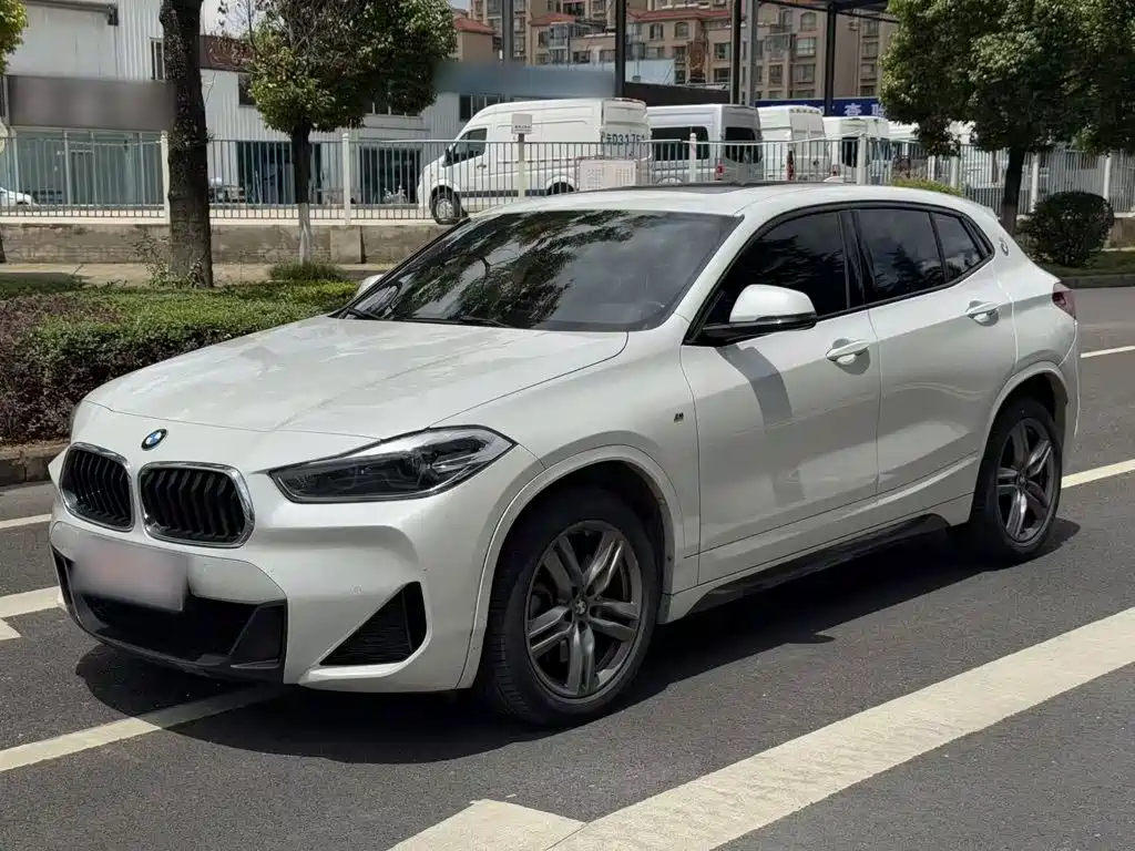 BMW X2 — миниатюра 2