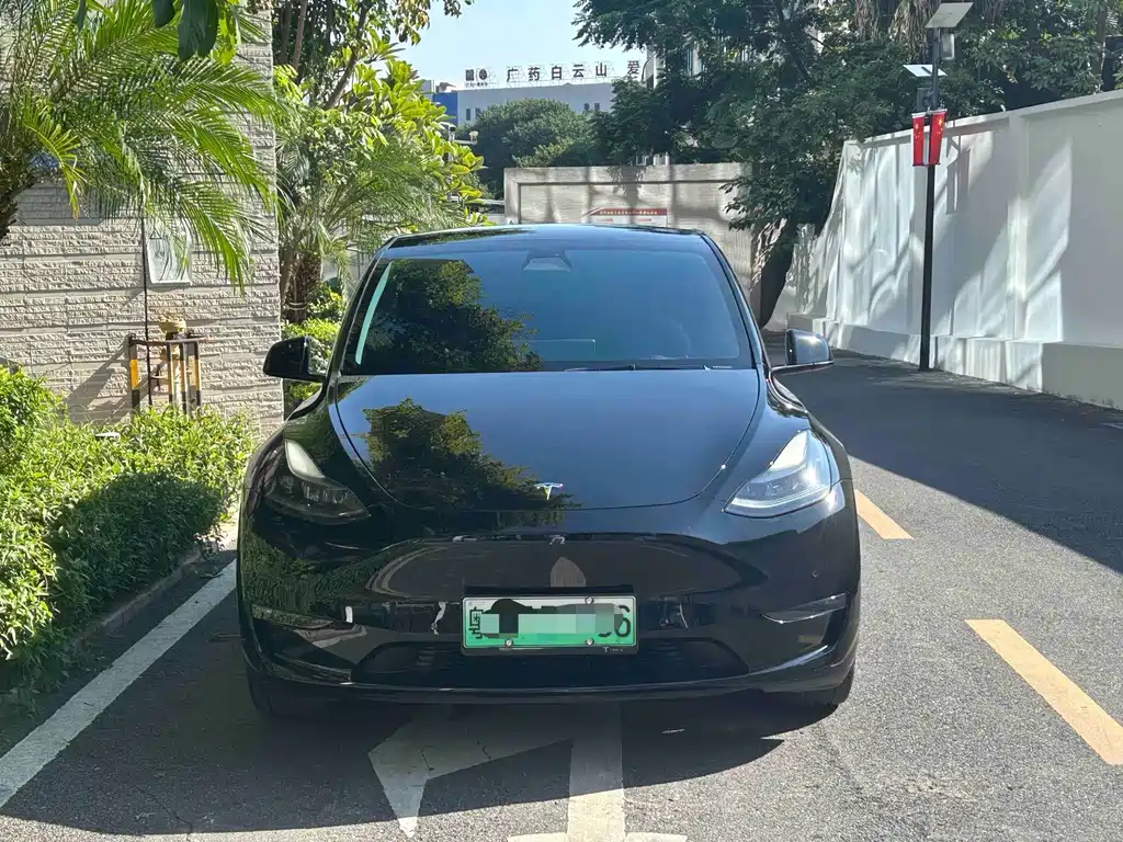 Tesla Model Y — миниатюра 2