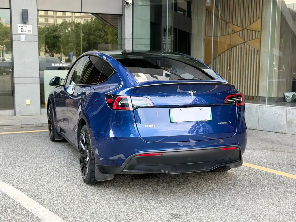 Tesla Model Y — миниатюра 14