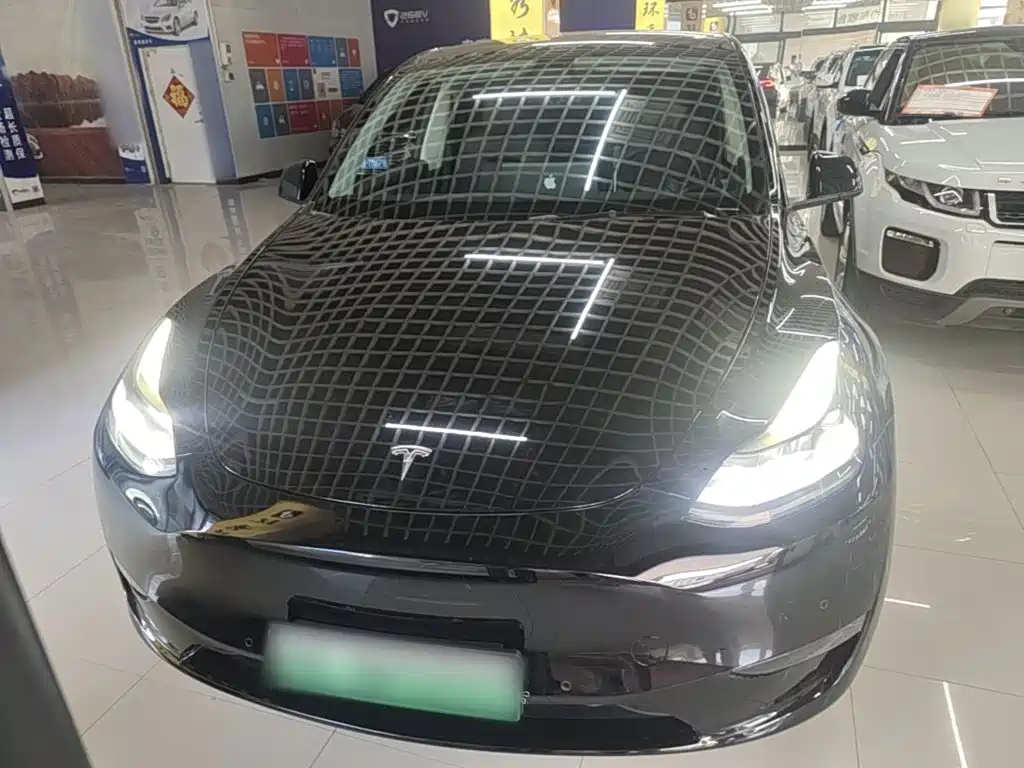 Tesla Model Y — миниатюра 3
