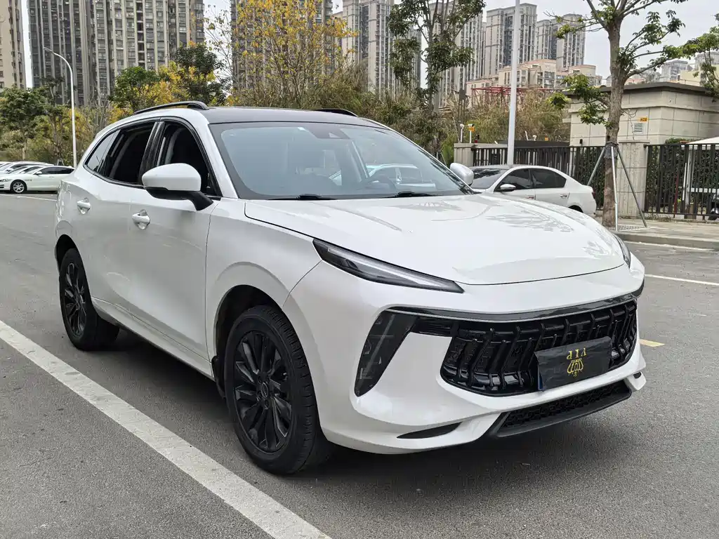 DONGFENG POPULAR T5 EVO