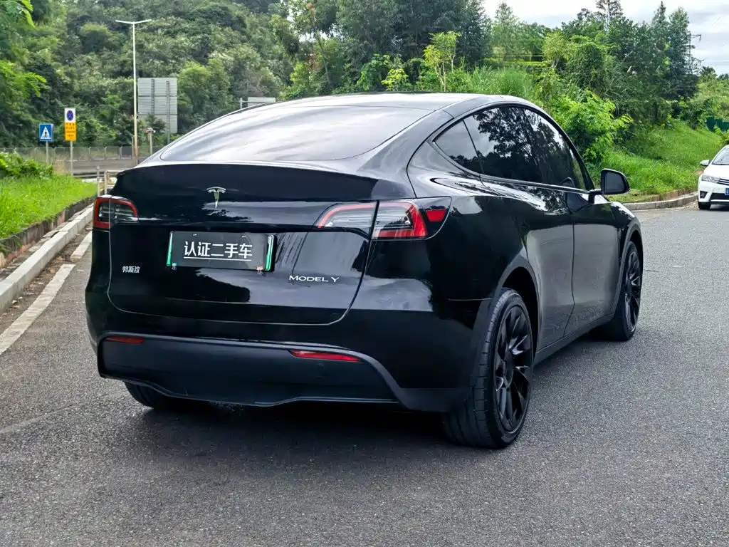 Tesla Model Y — миниатюра 7